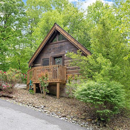 Cozy Cabin! Hot Tub, King Bed, Fireplace, & Pool Gatlinburg Exterior photo